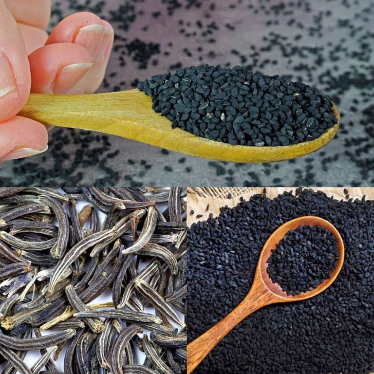 Ponad 200 chorób wyleczonych czarnuszką siewną