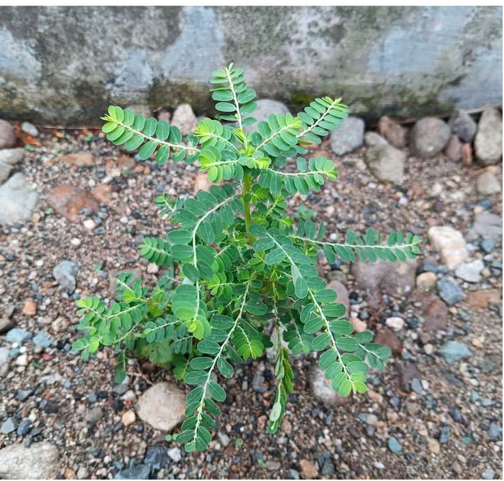 Nie miałem pojęcia! Fascynujące