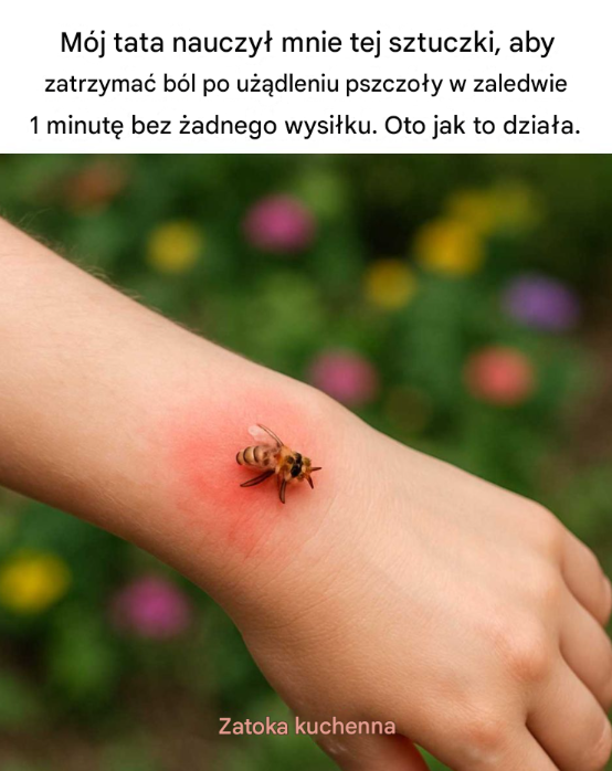 Mój tata nauczył mnie tej sztuczki, aby zatrzymać ból po użądleniu pszczoły w zaledwie 1 minutę – bez żadnego wysiłku! Oto jak to działa