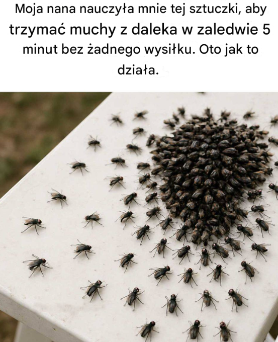 Moja nana nauczyła mnie tej sztuczki, aby trzymać muchy z daleka w zaledwie 5 minut bez żadnego wysiłku. Oto jak to działa.