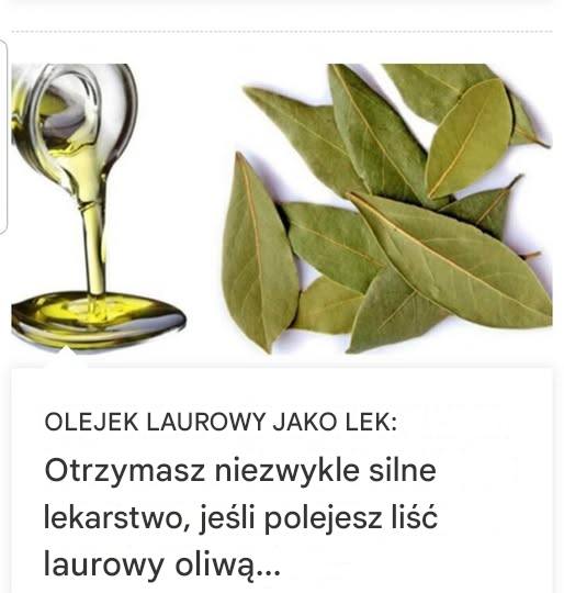 OLEJEK LAUROWY JAKO LEKARSTWO: Otrzymasz niezwykle silne lekarstwo, jeśli polejesz liść laurowy oliwą z oliwek…