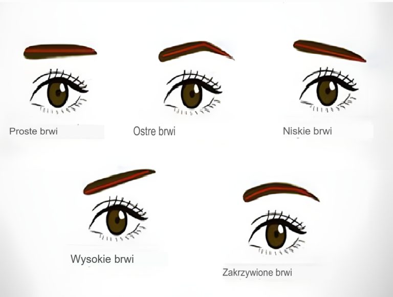 😲 Co kształt brwi mówi o Twojej osobowości?