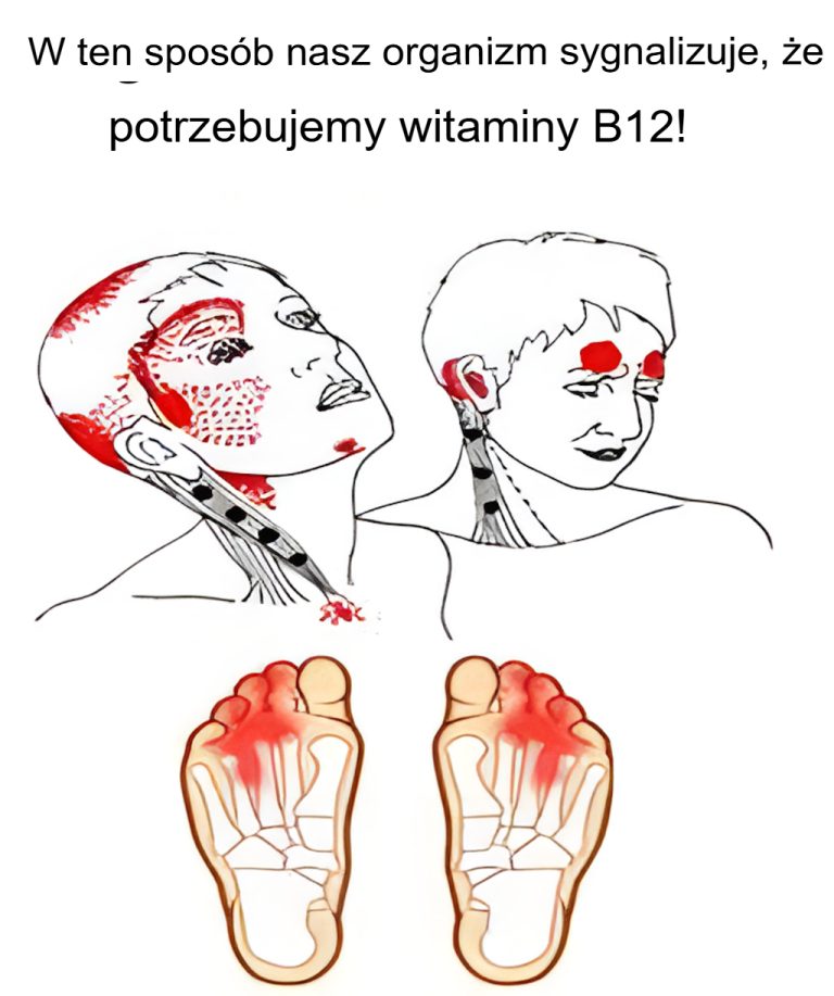 W ten sposób nasz organizm sygnalizuje, że potrzebuje witaminy B12