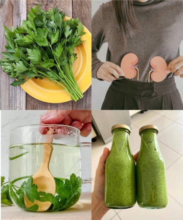 Gotowana kolendra na nerki: naturalny środek na wewnętrzne oczyszczenie