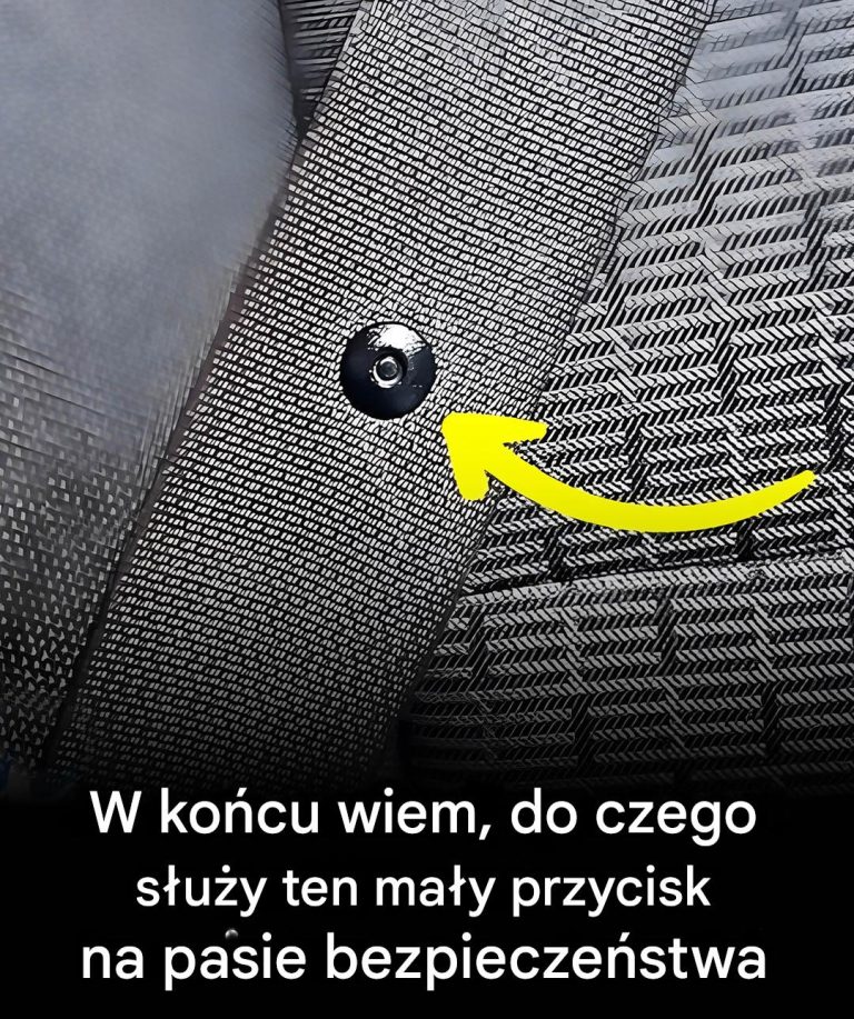 Ale do czego służy przycisk pasa bezpieczeństwa?