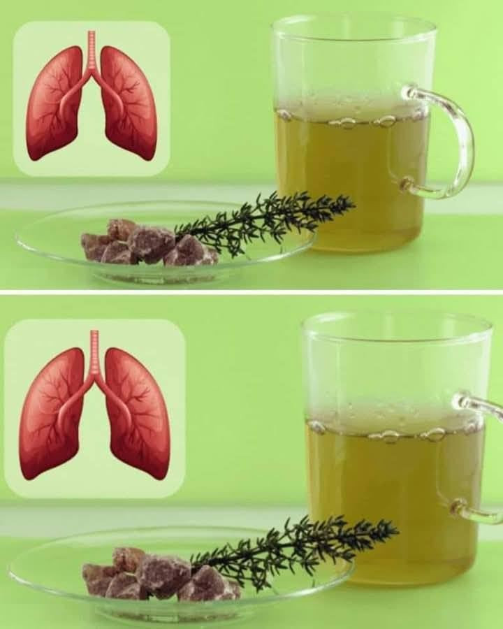 Tymianek eliminuje anginę paciorkowcową, grypę, zwalcza infekcje dróg oddechowych i wiele innych