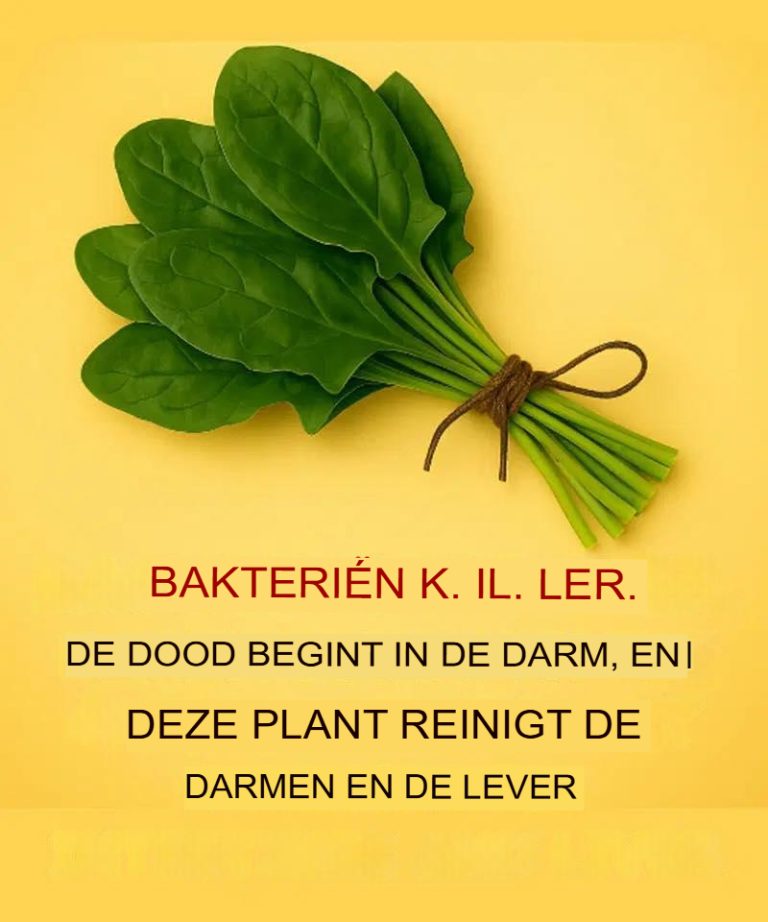 Jak używać tej rośliny do usuwania pasożytów i bakterii z jelit