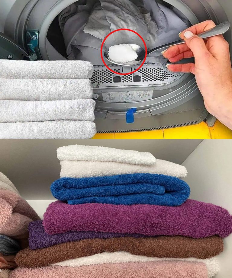 Spróbowałam wyprać stare ręczniki, postępując zgodnie z radą mojej babci, a efekt mnie zaskoczył: znów stały się miękkie i puszyste, tak jak w reklamie!