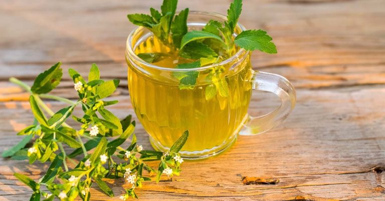 9 roślin skutecznych w walce z próchnicą zębów