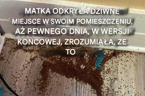 Matka Rank odkryła dziwne miejsce w pokoju swojej jednostki, aż pewnego dnia, w ostatecznej wersji, zdała sobie sprawę, że to…