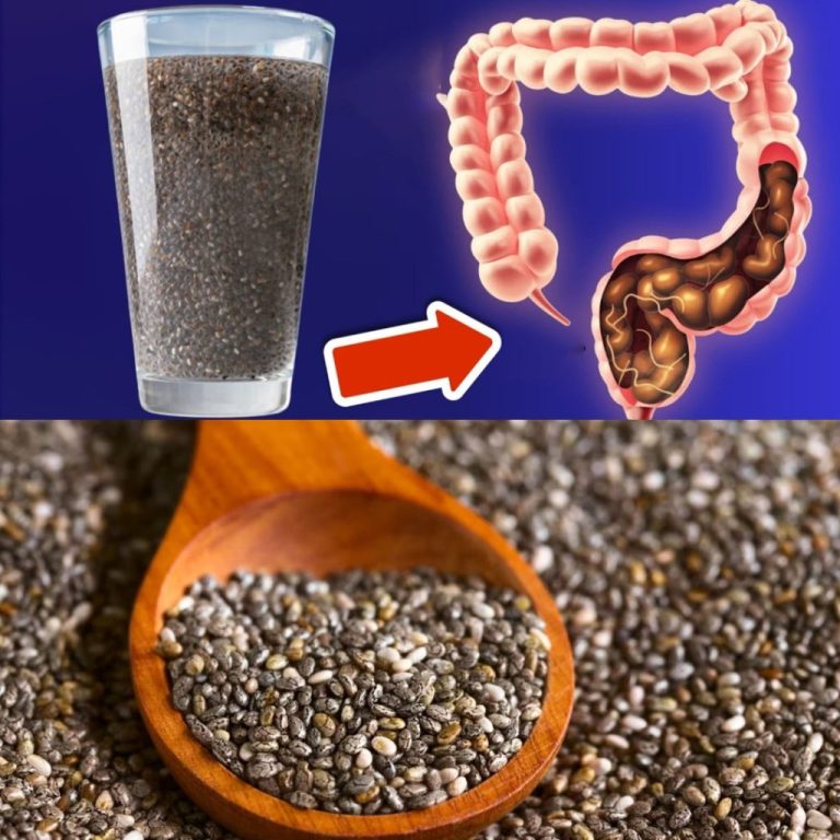 Wszystkie choroby mają swoje źródło w jelitach (oto jak je wyleczyć) – magia wody nasiennej!