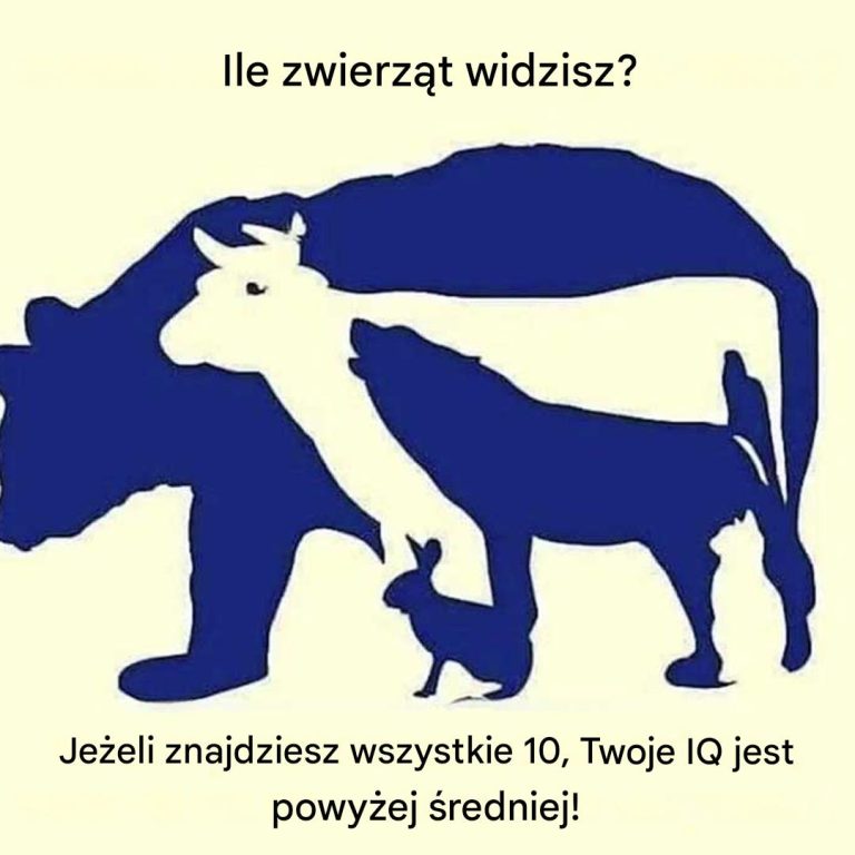 Czy znajdziesz 10 zwierząt ukrytych na tym obrazku?