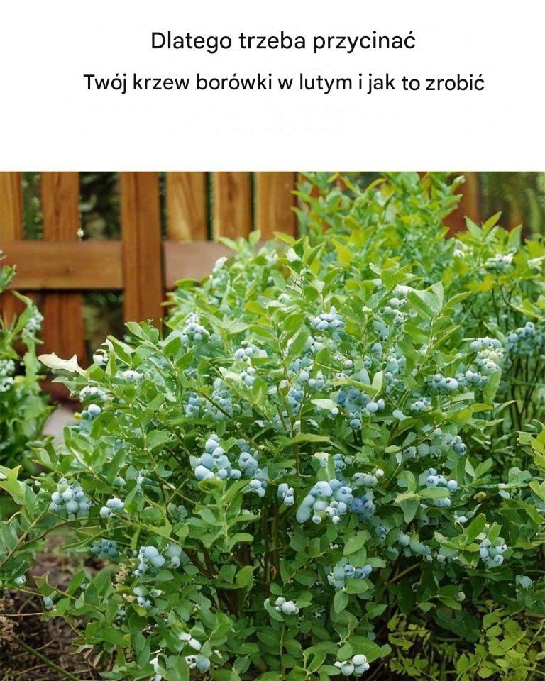 Nie wiedziałem