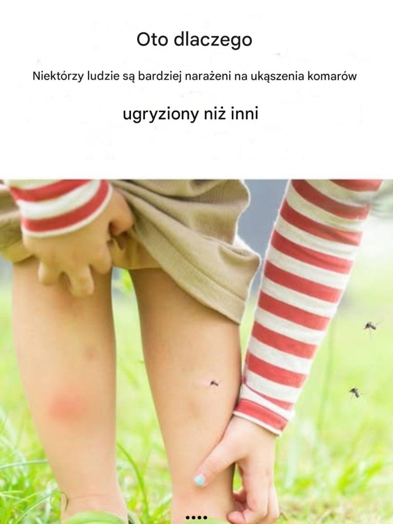 Dlatego niektórym ludziom komary przeszkadzają bardziej niż innym