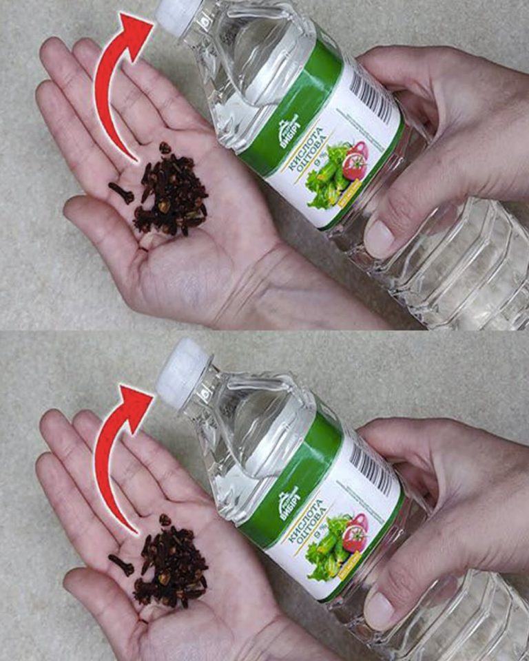 Dlaczego trzeba dodawać goździki do octu?