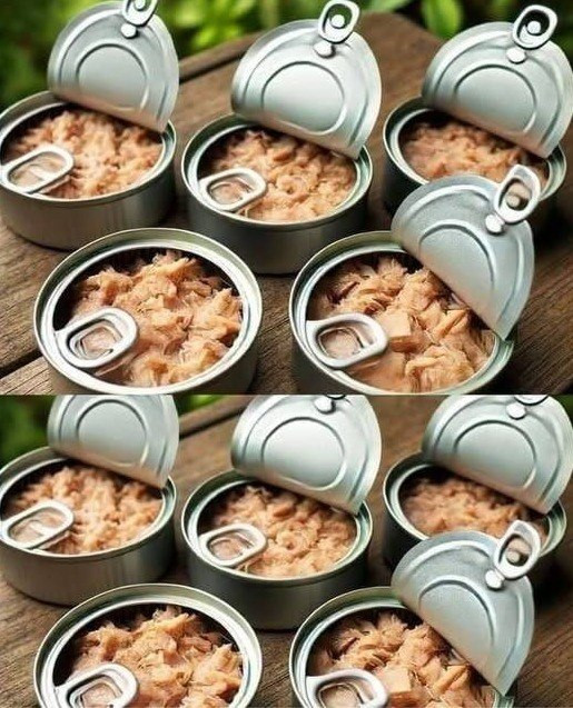 Nie wyrzucaj puszek po tuńczyku, w domu są warte tyle, ile waży złoto: jak je ponownie wykorzystać