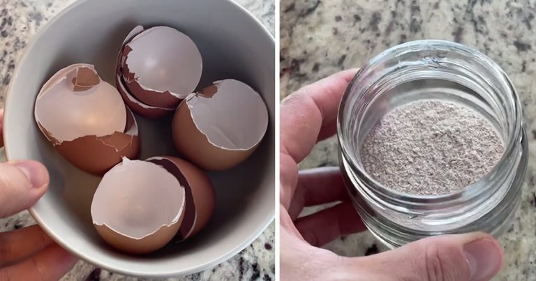 Nie wyrzucaj muszli skorupek jaj: tak można z nich korzystać