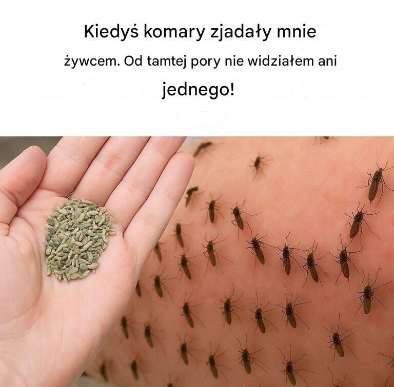 Jeśli to zrobisz, nigdy więcej nie zobaczysz komarów