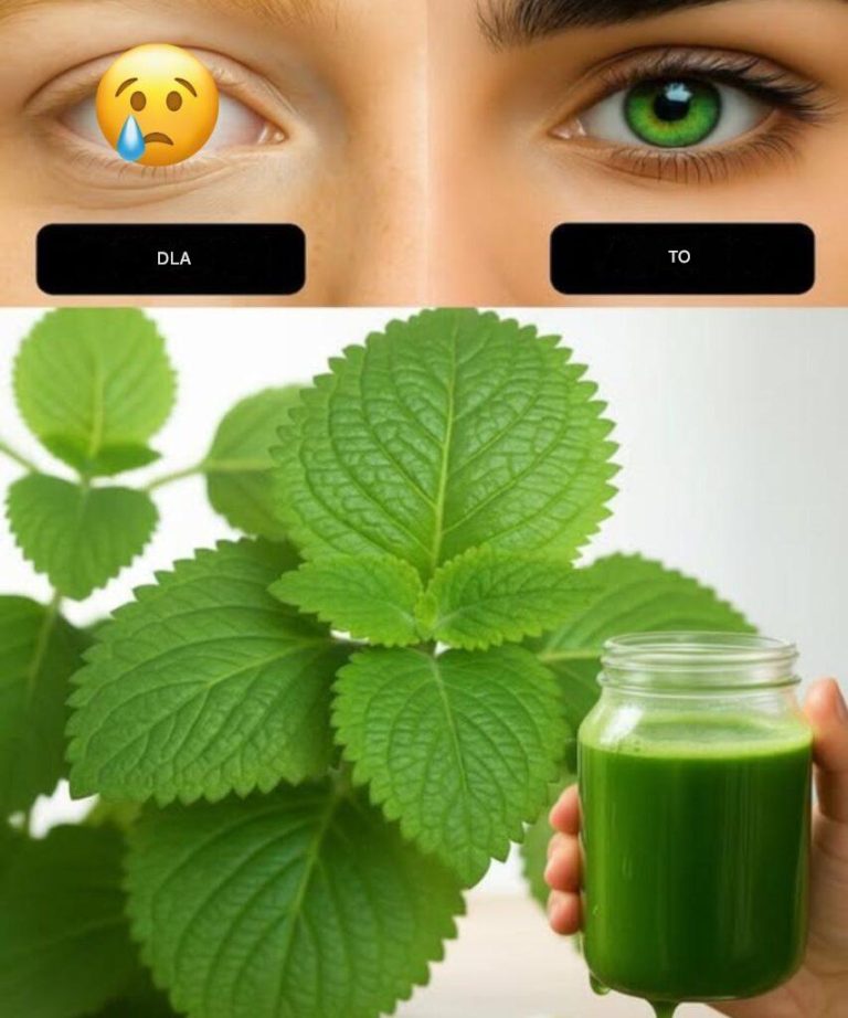 Dzięki temu jednemu listkowi nie będziesz już cierpiał…