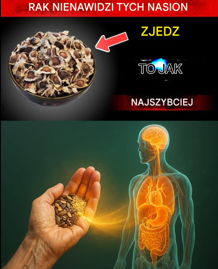 Rak nienawidzi tych 5 nasion – seniorzy, jedzcie je codziennie (walczcie z rakiem naturalnie)