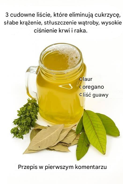 Master Leaf Tonic: Guawa, Oregano i Liść Laurowy (Kompleksowe Wsparcie)